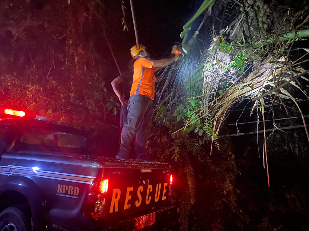 Pohon Tumbang di Beneh Kawan, Desa Blahkiuh, Kecamatan Abiansemal Tanggal 15 Januari 2023